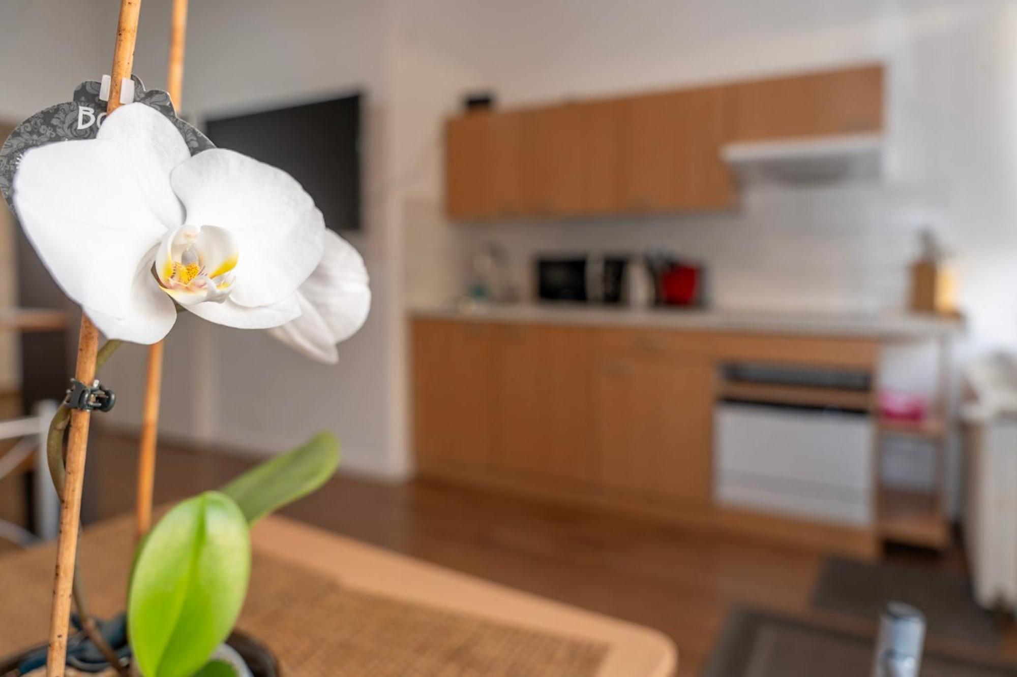 Cosy Nest - Apartment By Comfort Housing Falkensee Exterior foto